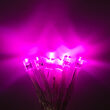 Aurora Superstar TM Light String, 12 Pink LED Mini Lights, Clear Wire
