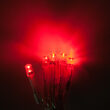 Aurora Superstar TM Light String, 12 Red LED Mini Lights, Clear Wire