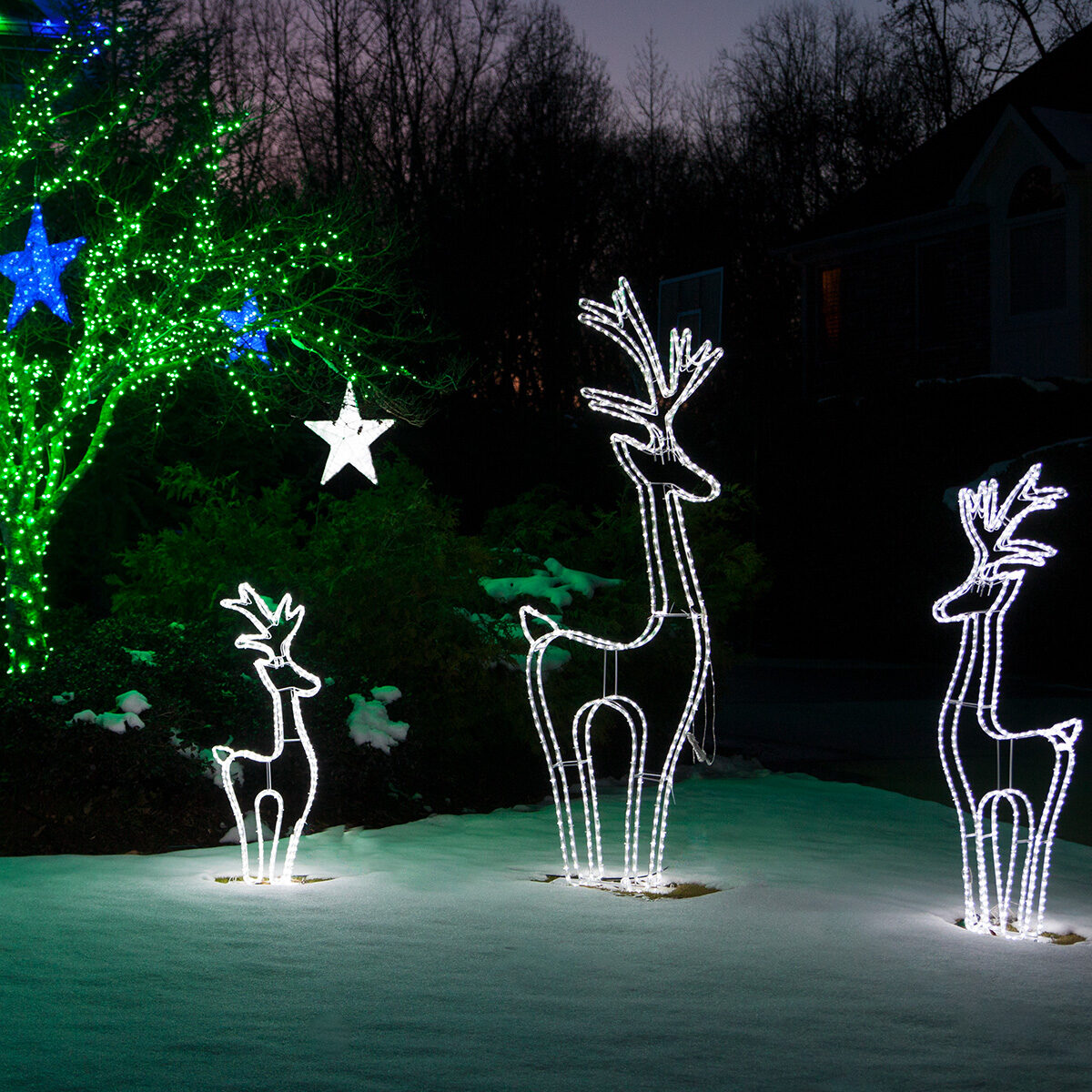 3d rope light reindeer