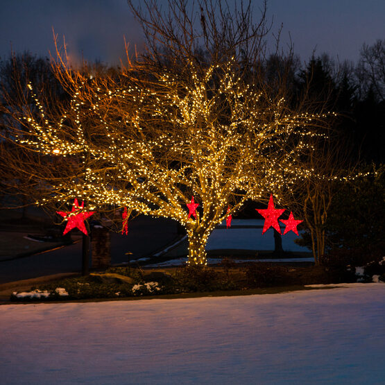 Warm White Outdoor LED String Lights, 50 ct, 4" Spacing 5MM