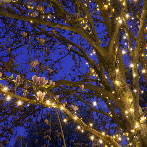 Warm White Outdoor LED String Lights, 50 ct, 4" Spacing 5MM