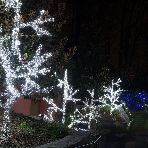 Cool White String Lights, 50 ct, LED 5MM Mini