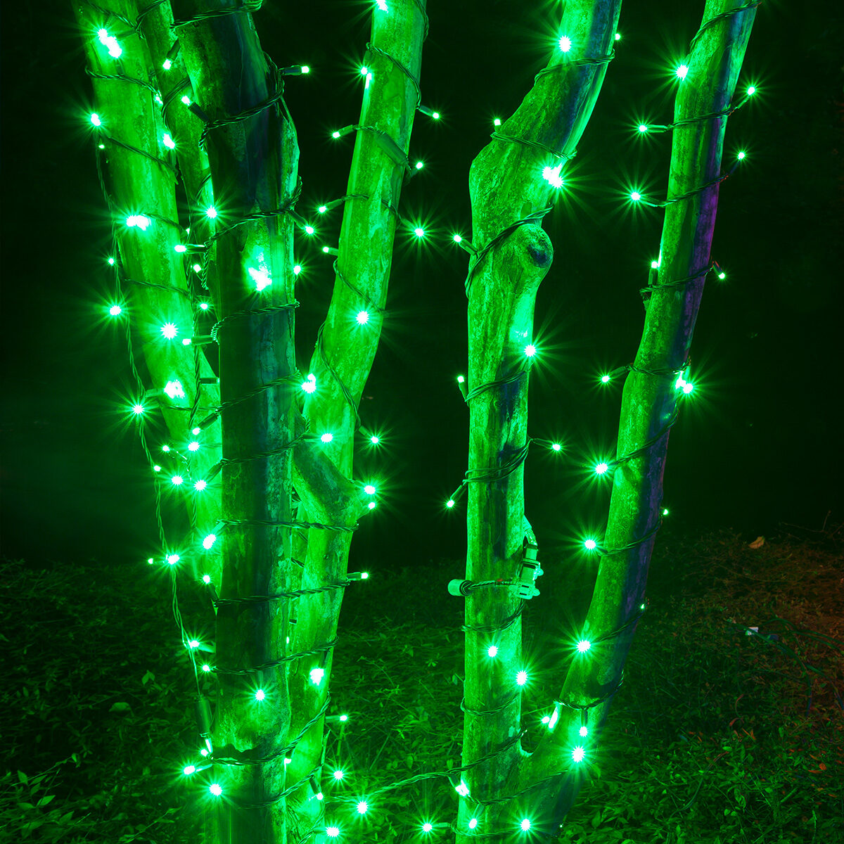 Green led on sale christmas lights