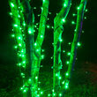 Green LED Christmas Lights, 50 ct, 5MM Mini