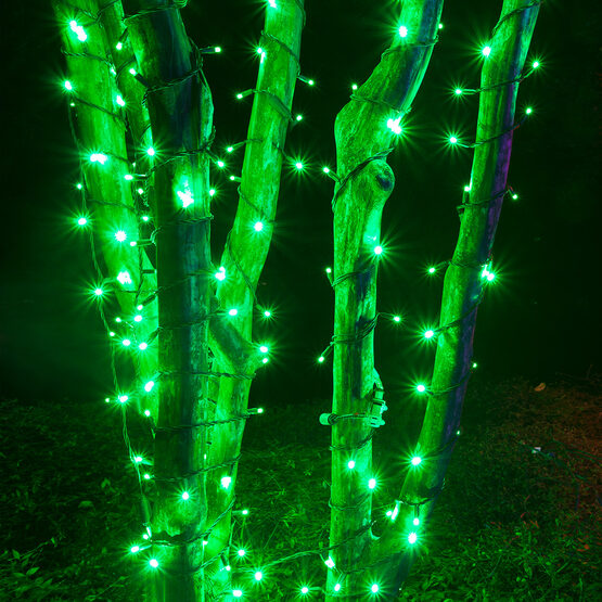 Green Outdoor LED String Lights, 50 ct, 4" Spacing, 5MM