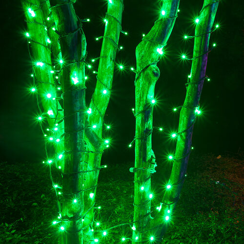 Green Outdoor LED String Lights, 50 ct, 4" Spacing, 5MM