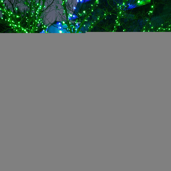 Green Outdoor LED String Lights, 50 ct, 5MM