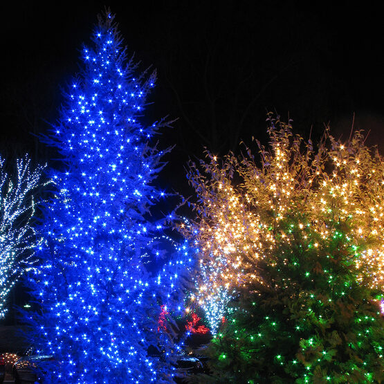 Blue Outdoor LED String Lights, 50 ct, 4" Spacing, 5MM