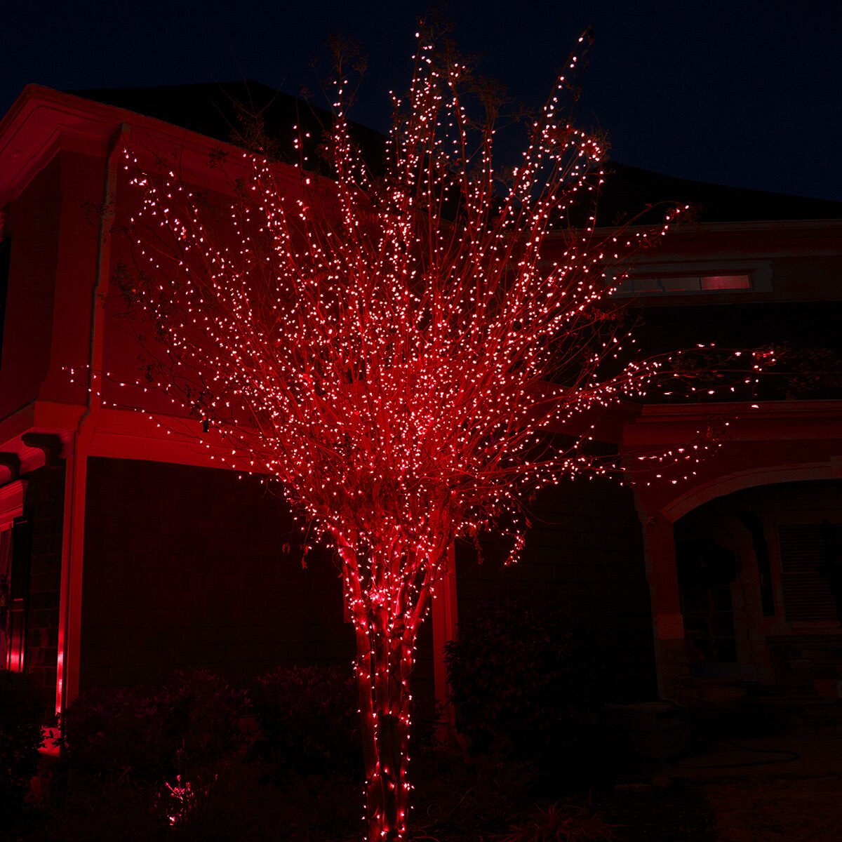 red outdoor christmas lights