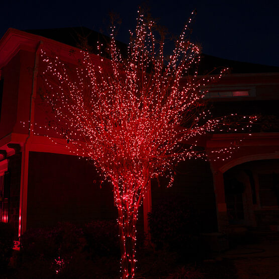 Red LED Christmas Lights, 50 ct, 5MM Mini