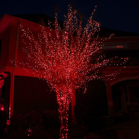 Red Outdoor LED String Lights, 50 ct, 4" Spacing 5MM