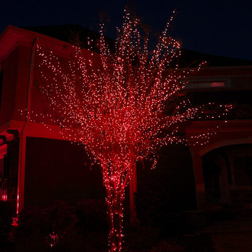 Red Outdoor LED String Lights, 50 ct, 4" Spacing 5MM