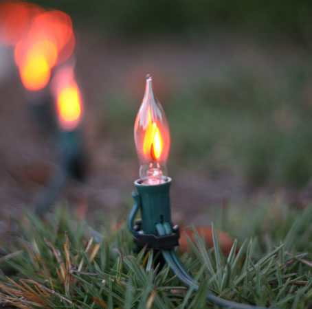 C7 Light Bulb, Orange Flicker Flame