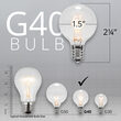 Globe String Lights, Clear G40 Bulbs, White Wire
