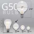 Globe String Lights, Clear G50 Bulbs, White Wire