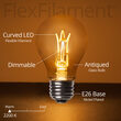 A19 FlexFilament TM LED Edison Light Bulb, Warm White Antiqued Glass