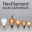 A19 FlexFilament TM LED Edison Light Bulb, Warm White Transparent Glass