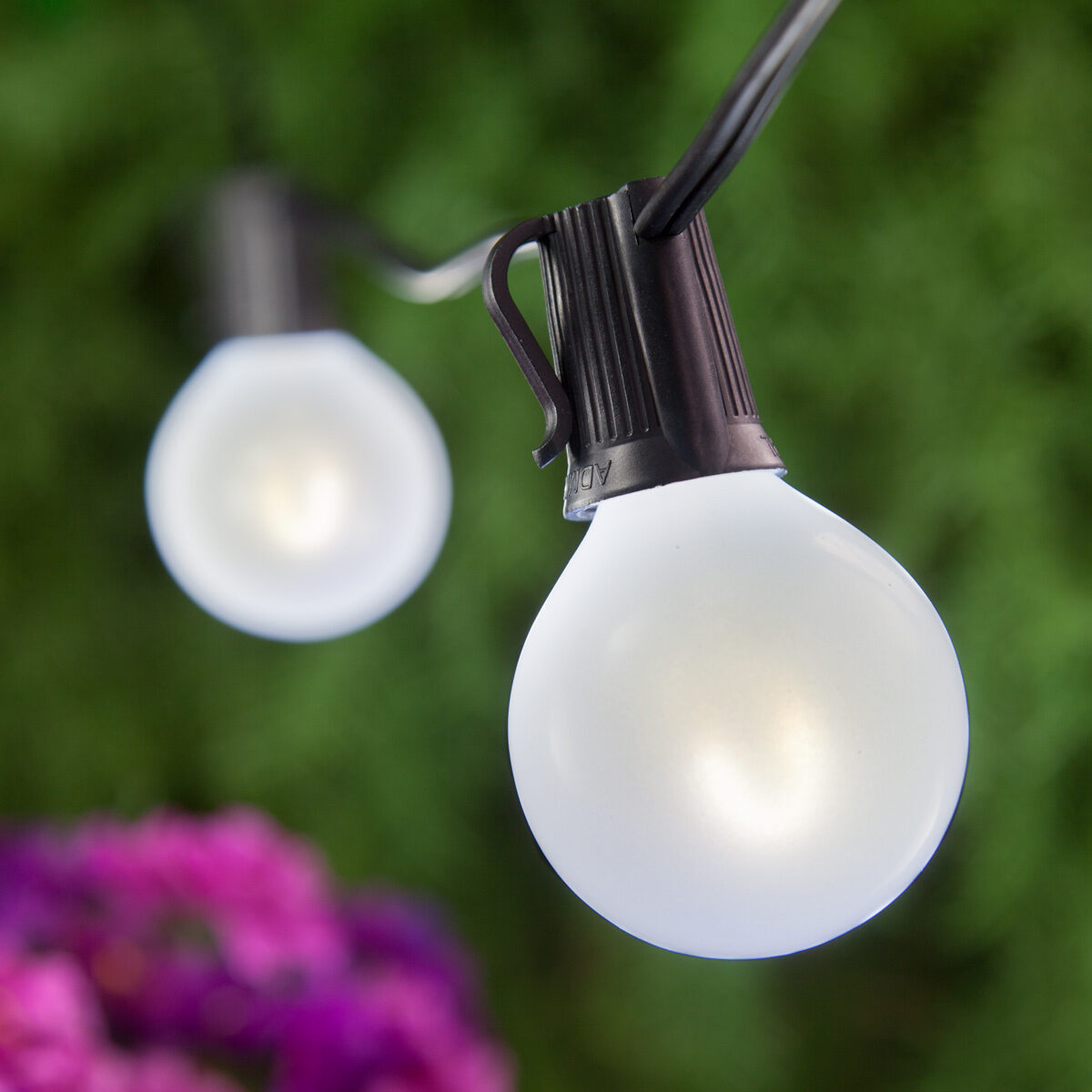 cool white edison style bulbs