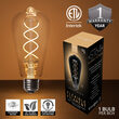 35' Cafe String Light Set, 7 Warm White ST64 FlexFilament TM 5W Glass LED Edison Bulbs, Black Wire, Copper Shades