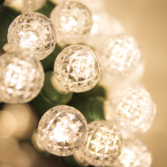 24' Raspberry LED String Lights, Warm White, Green Wire