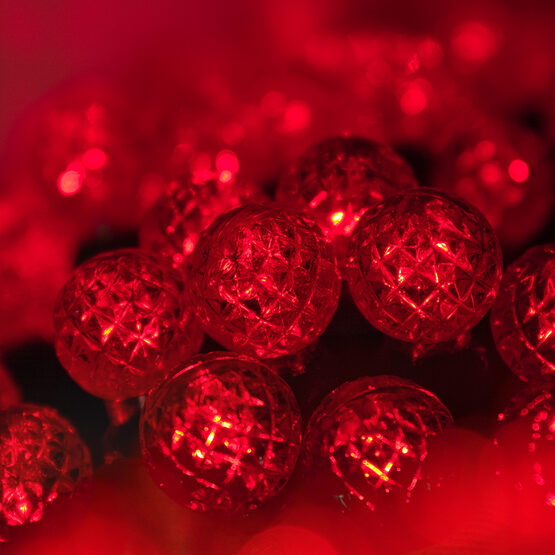 24' Raspberry LED String Lights, Red, Green Wire