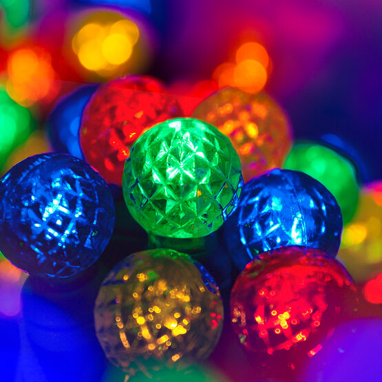 24' Raspberry LED String Lights, Multicolor, Green Wire