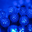 24' Raspberry LED String Lights, Blue, Green Wire