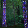 24' Wide Angle LED Mini Lights, Red, White and Blue