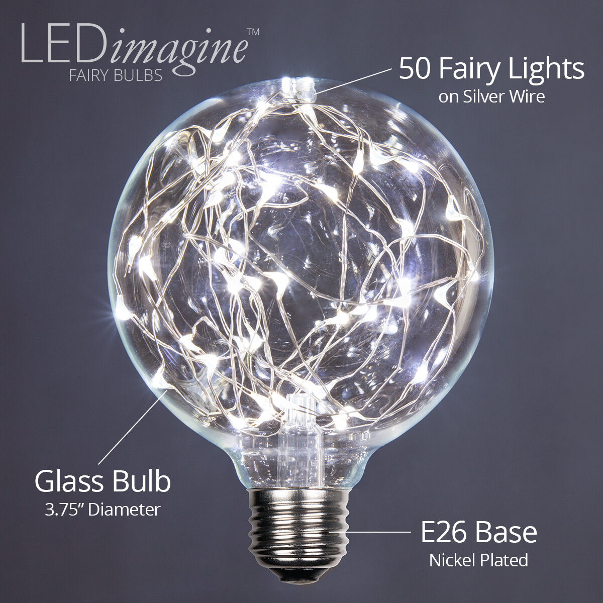 ロンハーマンcool  globes G95 LEDimagine<sup>TM</sup> Fairy Globe Light Bulb, Cool White