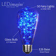 ST64 LEDimagine TM Fairy Light Bulb, Blue