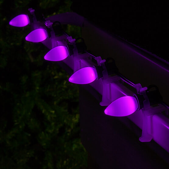 C7 Smooth OptiCore LED Light Bulbs, Purple, E12 Base