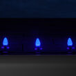 C7 OptiCore<sup>&reg</sup> LED Light Bulbs, Blue