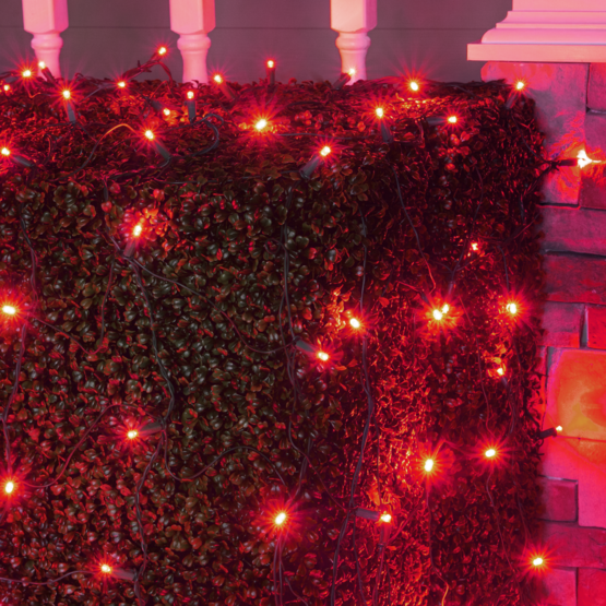 4' x 6' 5mm LED Net Lights, Red, Green Wire