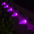 OptiCore C7 Commercial LED String Lights, Purple, 25 Lights, 25'
