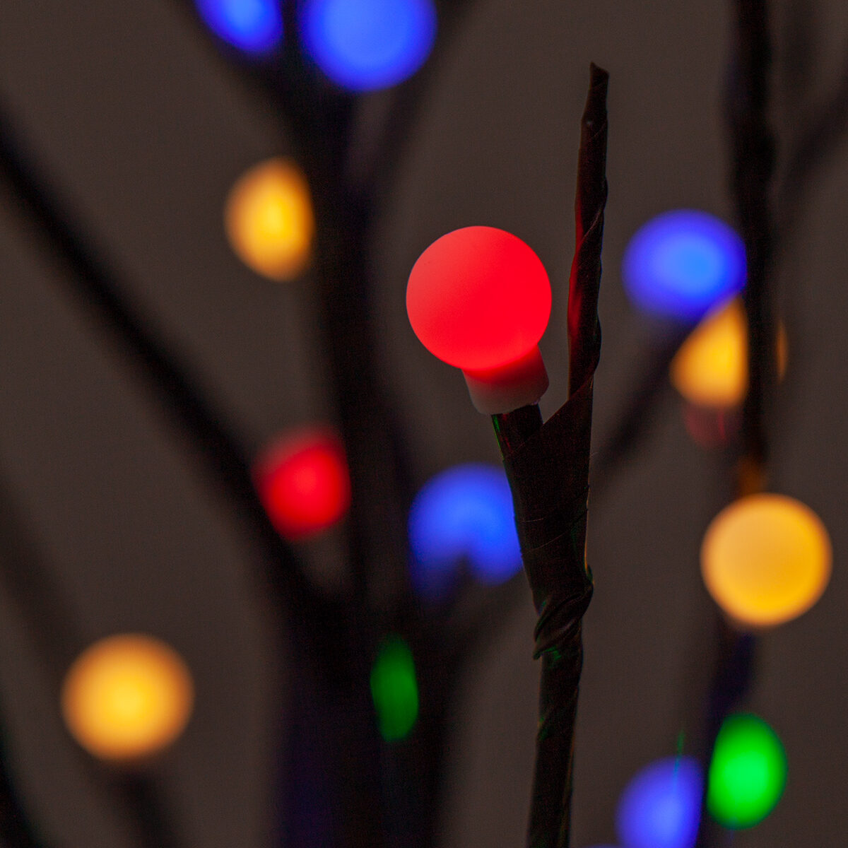 globe light twig trees