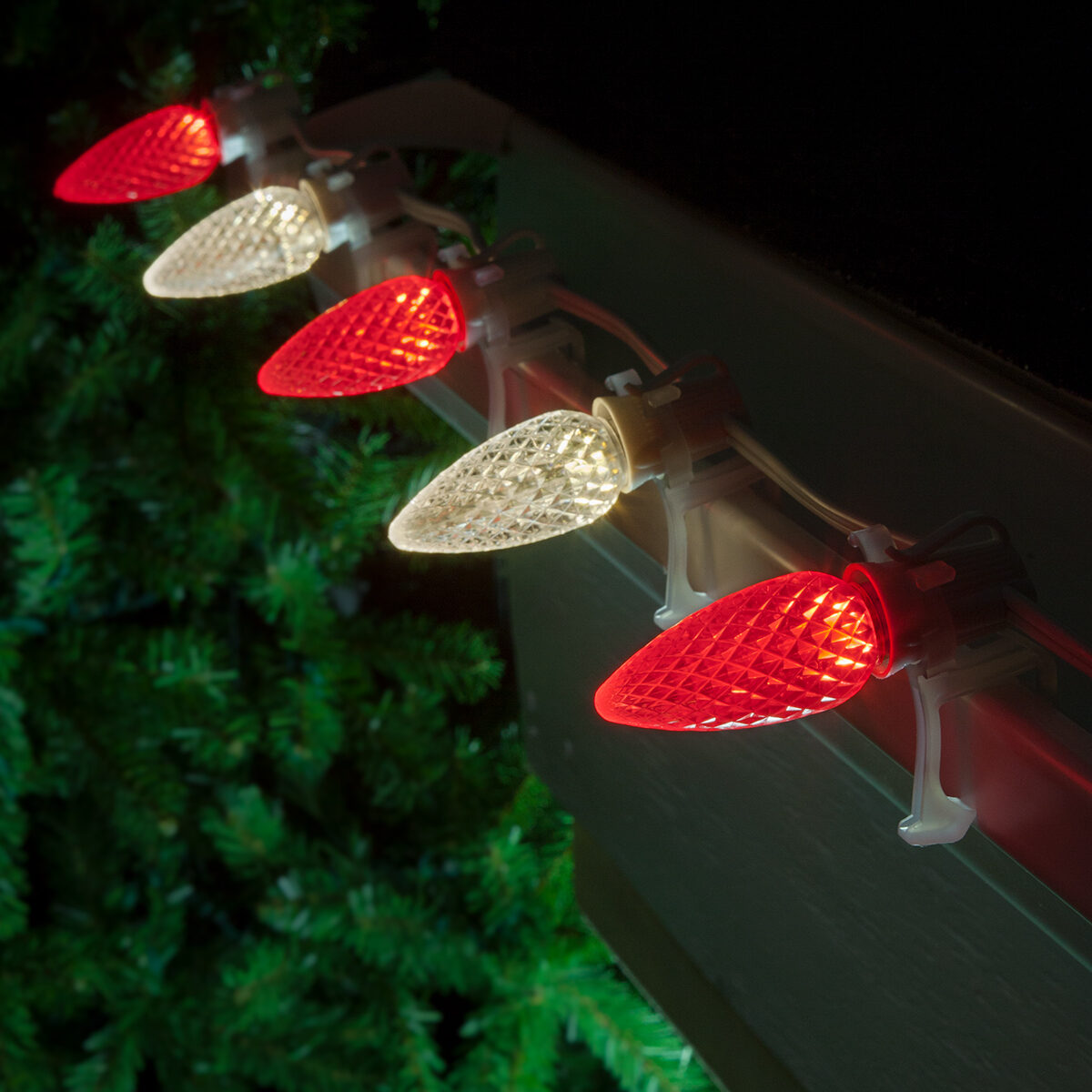 C9 cool white christmas lights 2025