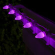 Smooth OptiCore C7 Commercial LED String Lights, Purple, 50 Lights, 50'