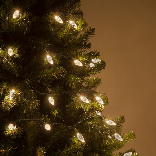 Strawberry LED String Lights, Warm White, Green Wire - Yard Envy