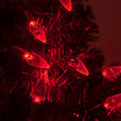 24' Strawberry LED String Lights, Red, Green Wire