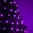 Strawberry LED String Lights, Purple, Green Wire