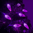 24' Strawberry LED String Lights, Purple, Green Wire