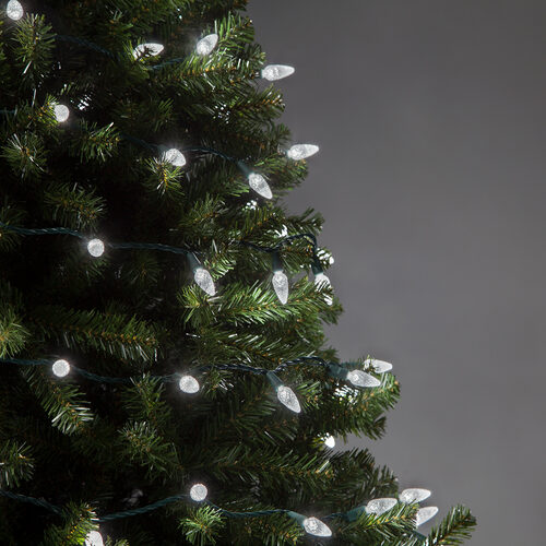 24' Strawberry LED String Lights, Cool White, Green Wire