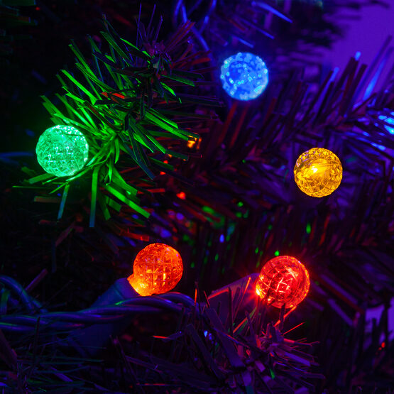 24' Raspberry LED String Lights, Multicolor, Green Wire