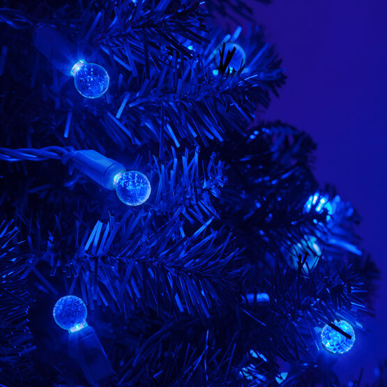 24' Raspberry LED String Lights, Blue, Green Wire