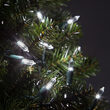 26' T5 Mini Christmas String Lights, Cool White, Green Wire