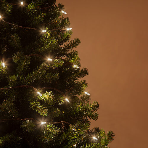 26' T5 Mini Christmas String Lights, Warm White, Brown Wire