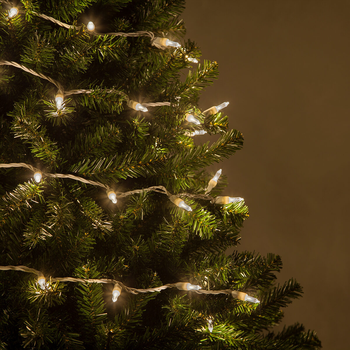 white lights with white wire