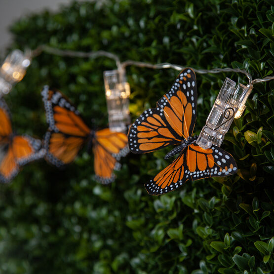 https://img.yardenvy.com/images/pd/71091/Clothespin-LED-Light-Clips-Butterflies-3057-sq.jpg?w=555&h=555