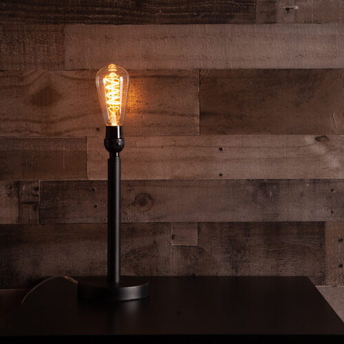 ST64 120V Dimmable Globe Light FlexFilament TM LED Edison Light Bulb, Warm White Glass Medium Base