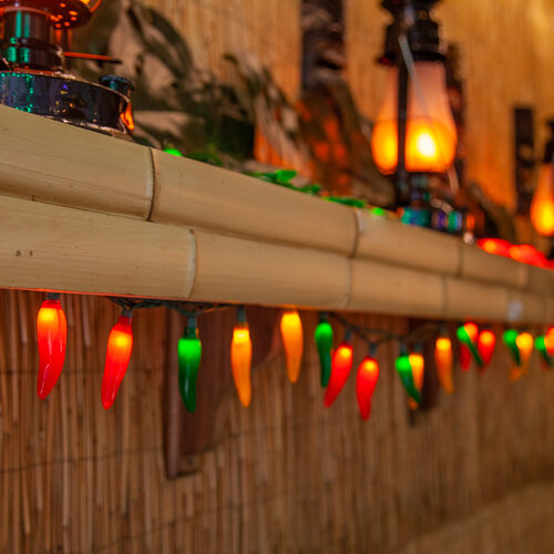 Chili Pepper Light Set, 35 Multicolor Lights Yard Envy